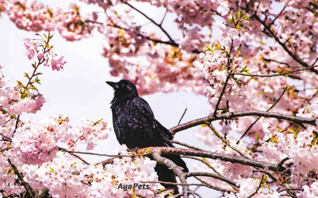 10 Things That Stop Birds From Eating Garden Plants