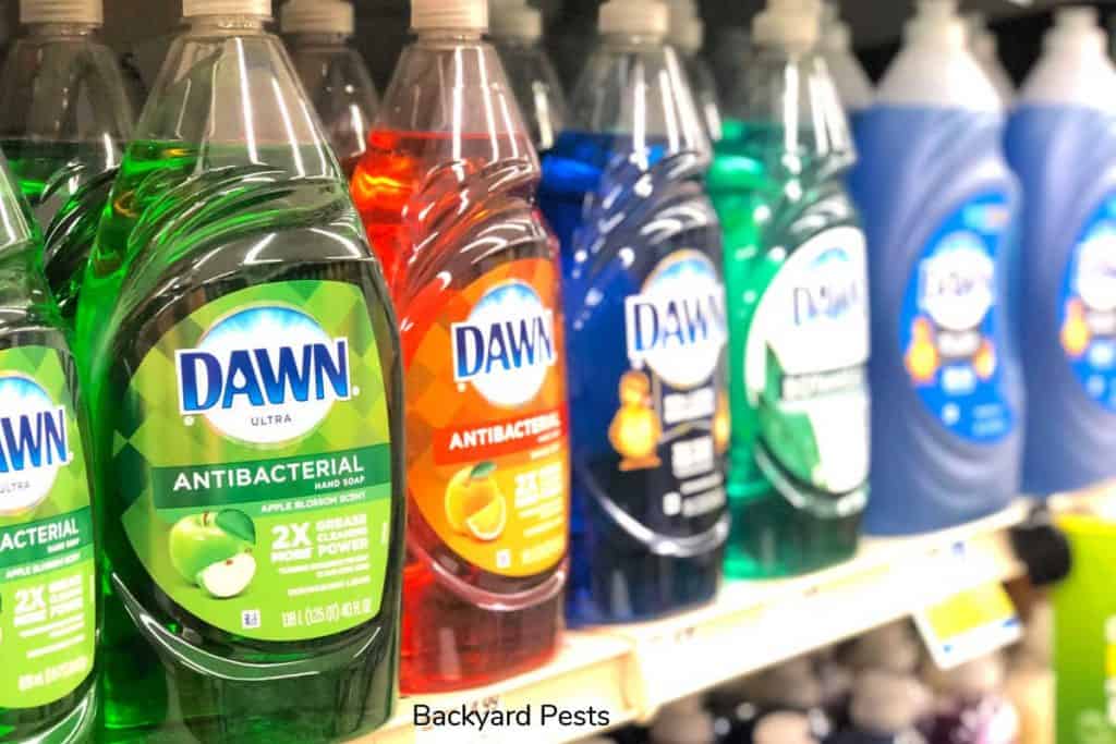 Does Dawn Dish Soap Kill Garden Pests This One Does