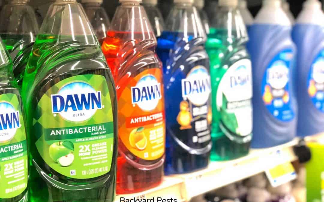 Does Dawn Dish Soap Kill Garden Pests? This ONE does …