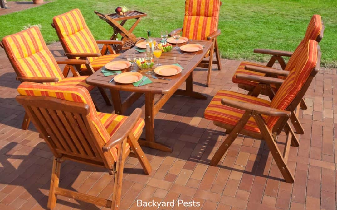 How To Treat Wood Furniture For Bugs