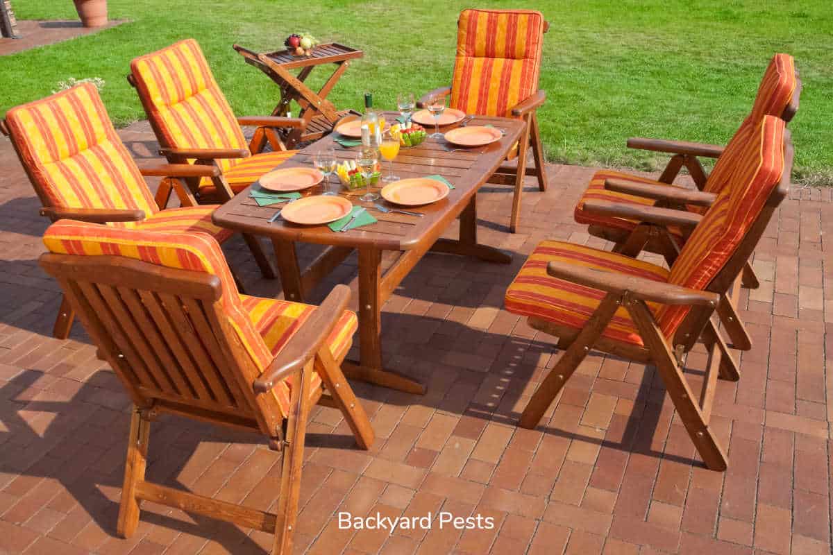 How To Treat Wood Furniture For Bugs Backyard Pests