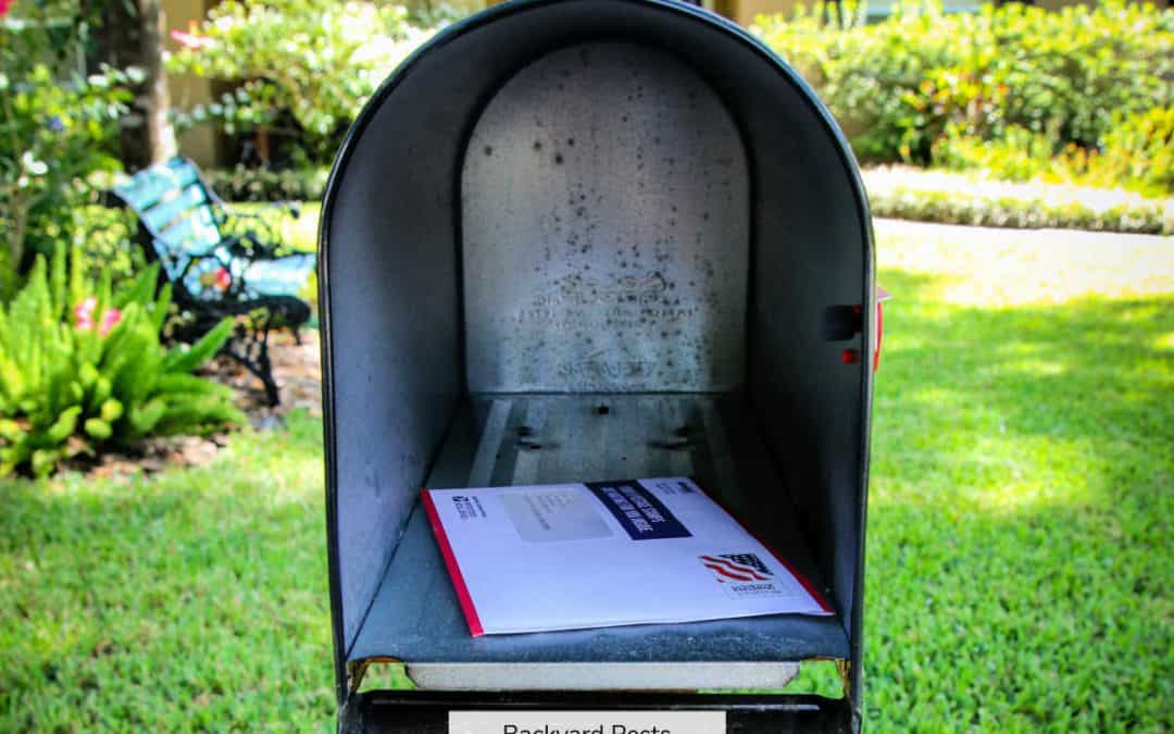 Do Snails Really Eat Paper? Let’s Find Out…