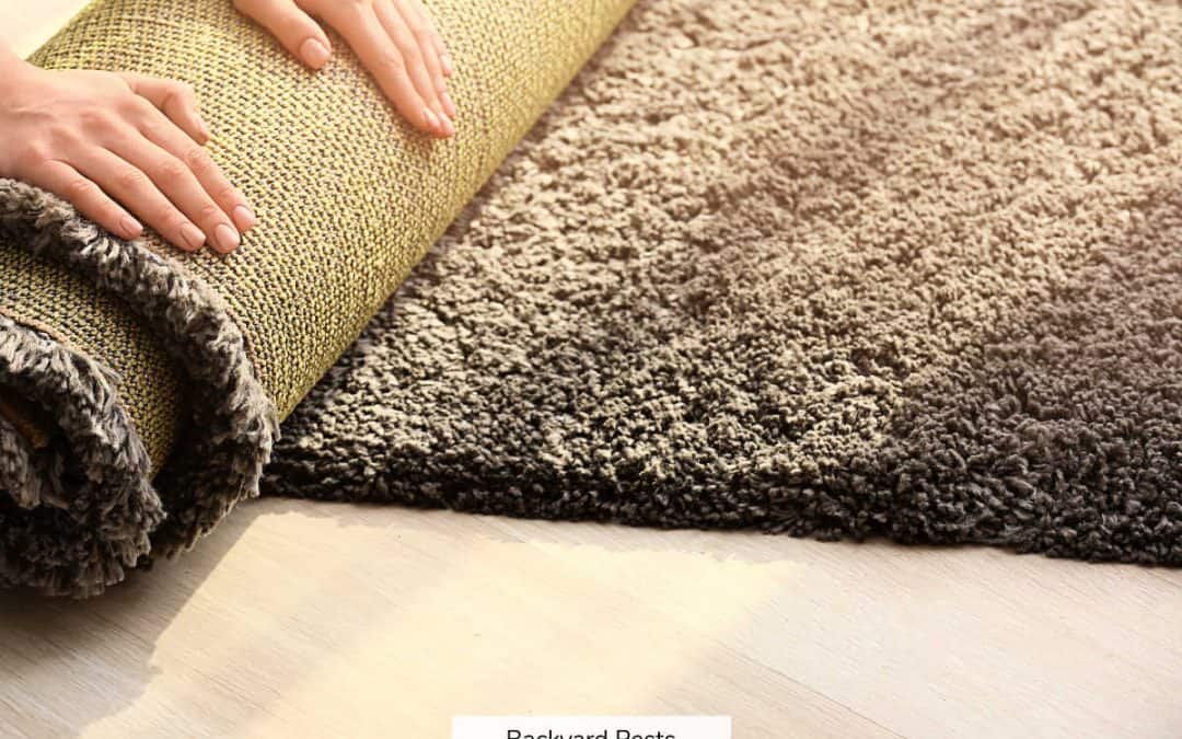 7 Early Signs You Have Fleas At Home – With Pictures