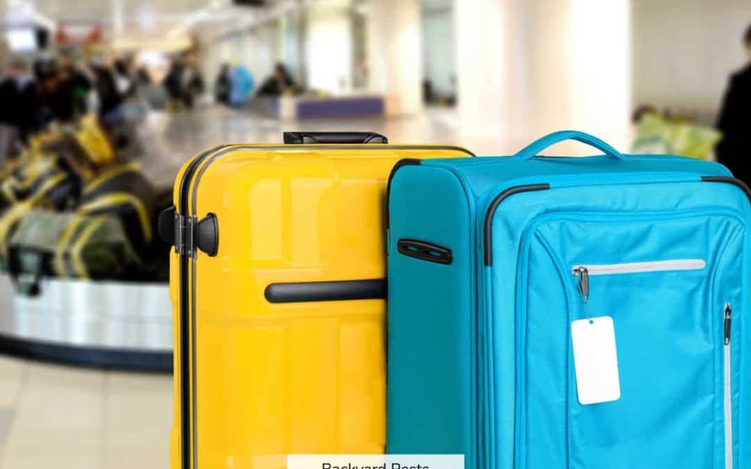 How You Get Bed Bugs & How To Avoid Them