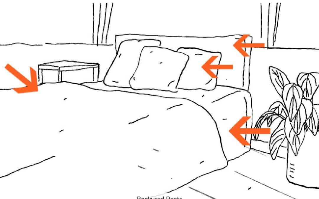 4 Places All Bed Bugs Hide In A House – Find Them Quickly And Easily