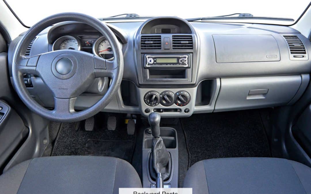 Bed Bugs Can Survive In A Car With These 3 Things