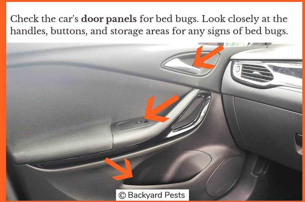 10 Places Bed Bugs Hide In Cars How To Find Them (With Pictures