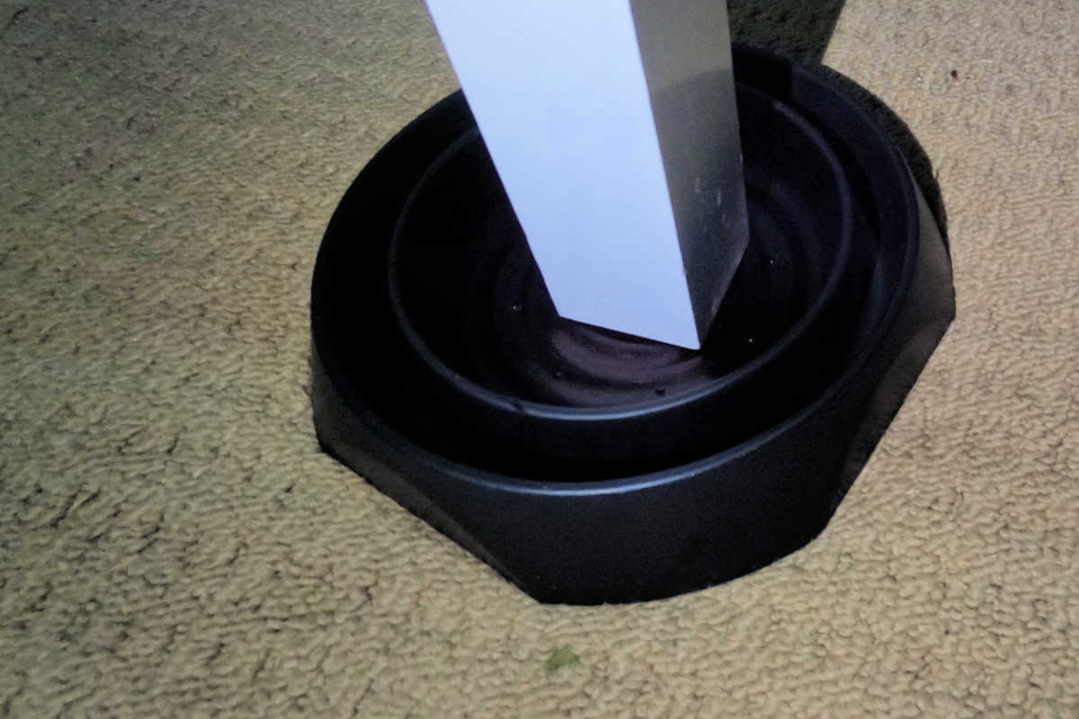 These Bed Bugs Can Get Out Of Interceptors (How To Stop Them