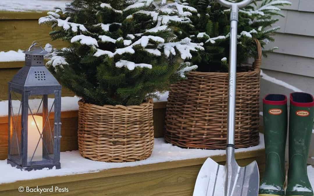11 Essential Winter Gardening Tools You Shouldn’t Live Without