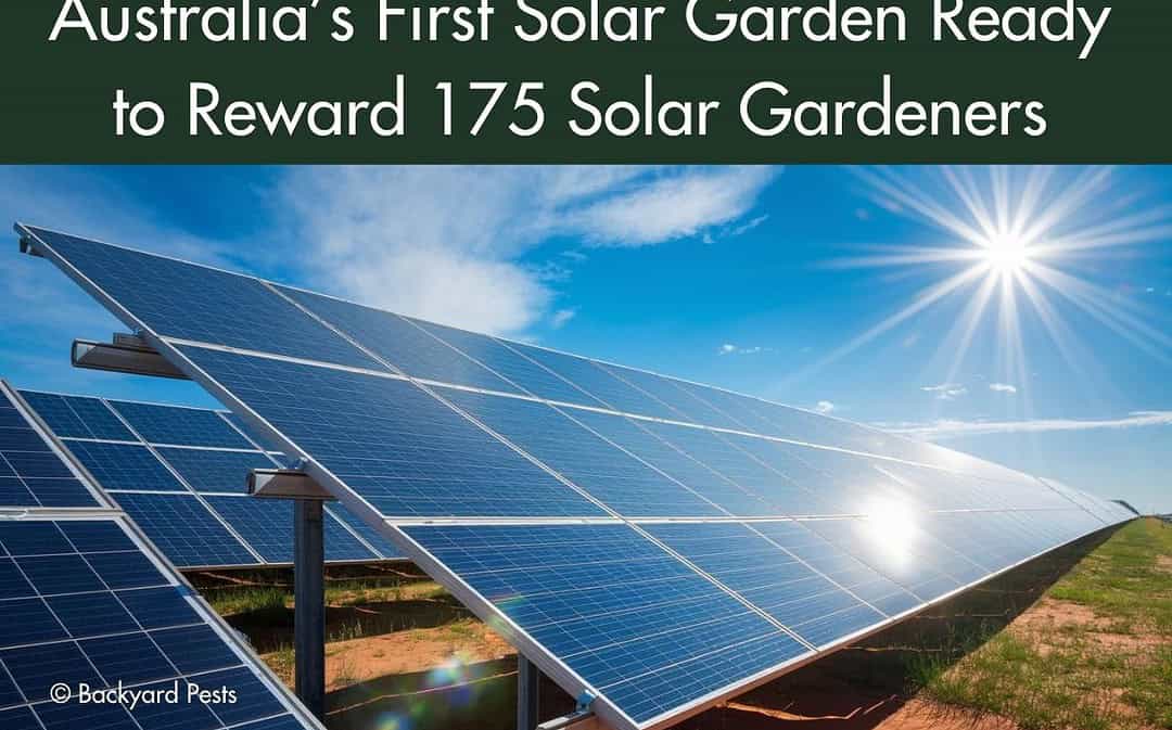 Australia’s First Solar Garden Set to Transform Renewable Energy Access