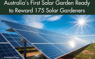 Australia’s First Solar Garden Set to Transform Renewable Energy Access
