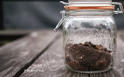 The Surprises In a Jar of Dirt after 200 Days