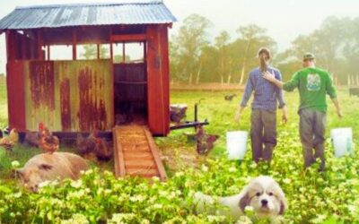 Why You Really Have to Watch This Story of a Little Farm and Big Dreams