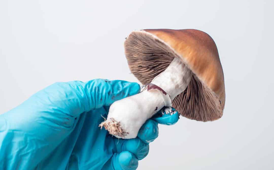 She Claims It Was an Accident—But Was It Really Murder?